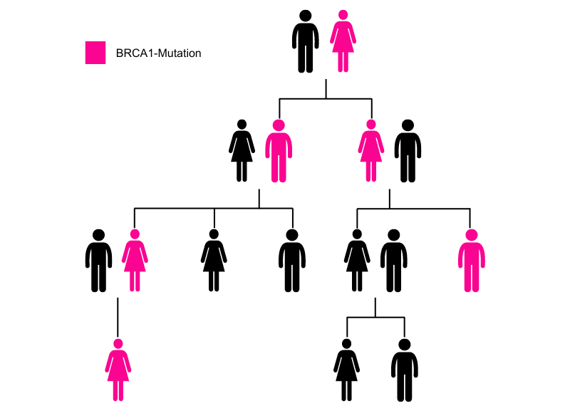 BRCA Mutation Vererbung